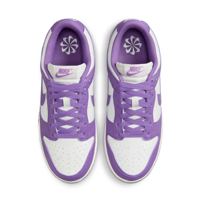 Nike Dunk Low Next Nature