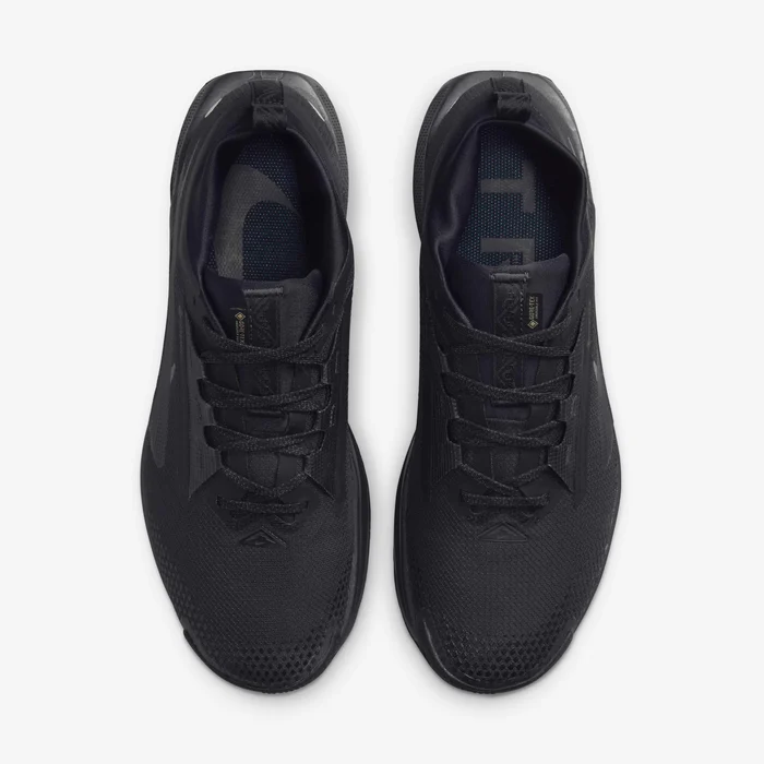 Nike Pegasus Trail 5 GORE-TEX