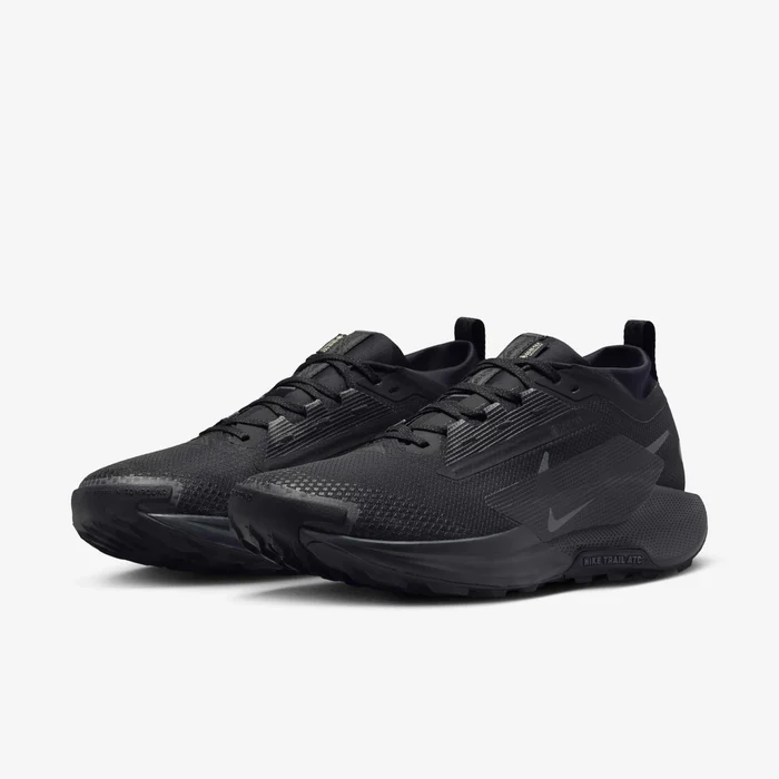 Nike Pegasus Trail 5 GORE-TEX