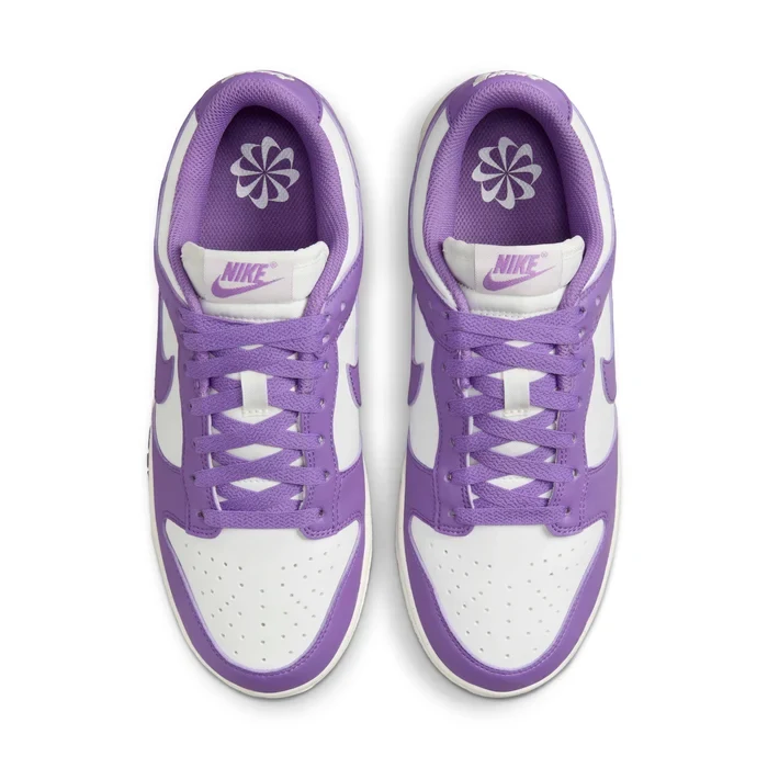 Nike Dunk Low Next Nature